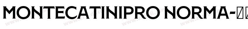 MontecatiniPro Norma字体转换